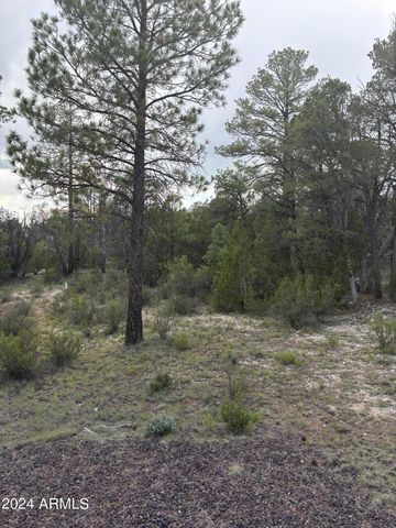 1988 Artists Draw Road 7, Heber, AZ 85928