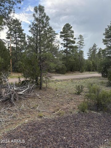 1988 Artists Draw Road 7, Heber, AZ 85928