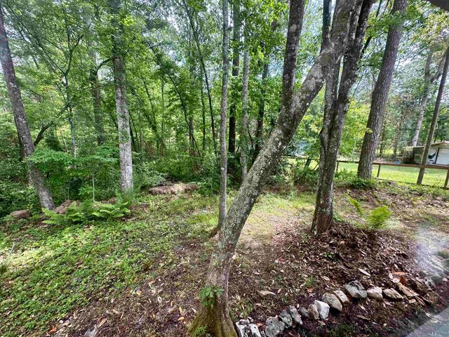 24118 Lone Star Road, Tallahassee, FL 32310