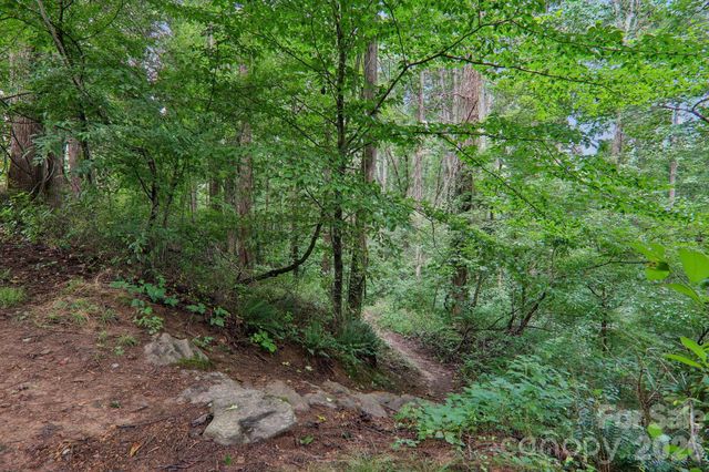100 Vista Lake Drive 2, Candler, NC 28715