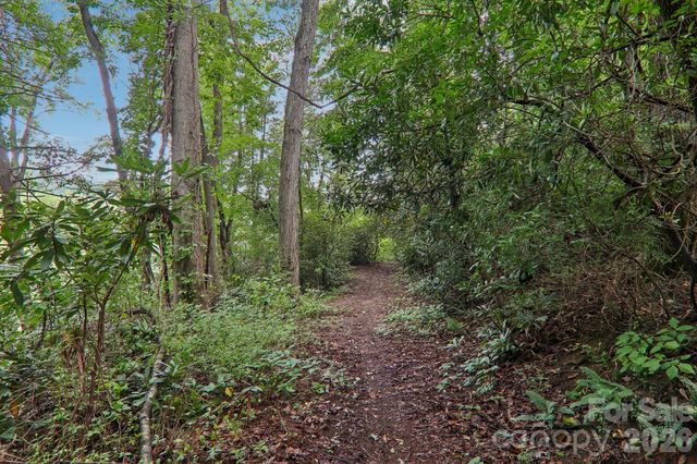 100 Vista Lake Drive 2, Candler, NC 28715