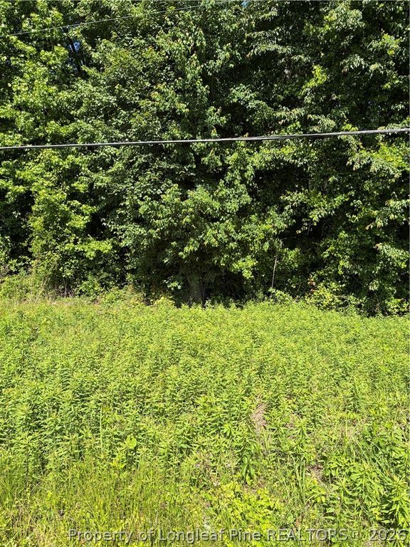 Lemon Springs Road, Sanford, NC 27332 — photo 4