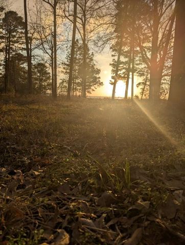 157 Lakeview Drive S, Livingston, TX 77351