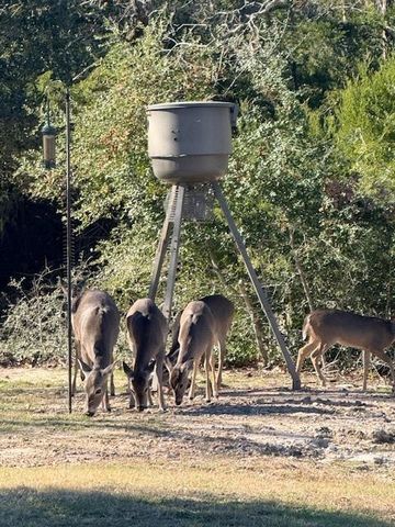 403 Deep Canyon Circle, Somerville, TX 77879