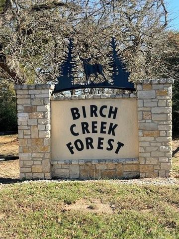 403 Deep Canyon Circle, Somerville, TX 77879