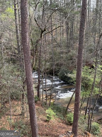 199 Camelia Lane, Tiger, GA 30576