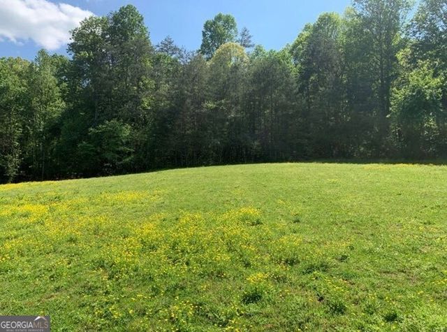 22 Old Bullen Gap Road, Blue Ridge, GA 30513