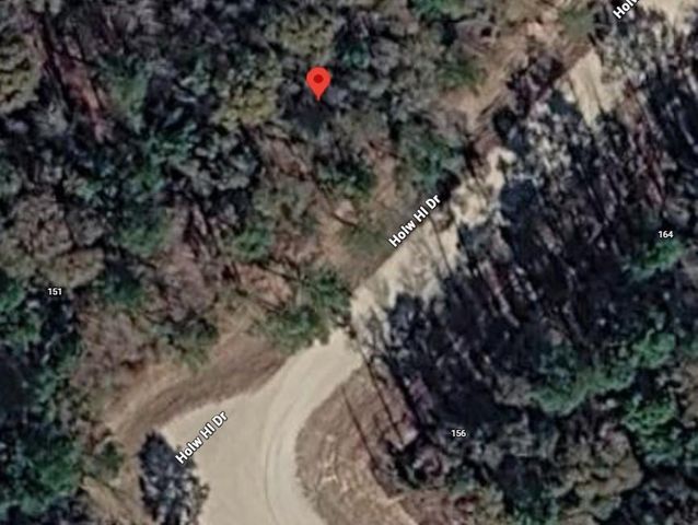 159 Hollow Hill Drive, New Waverly, TX 77358