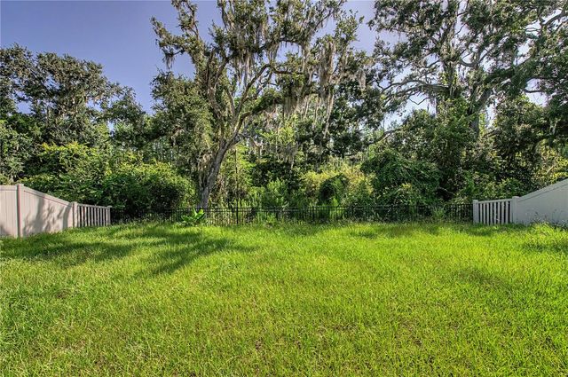 9826 CARABINER WAY, Land O Lakes, FL 34637