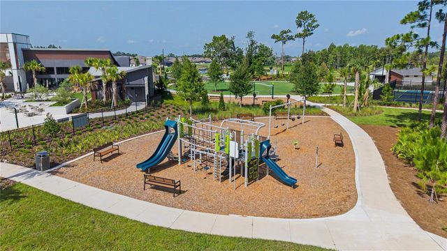9826 CARABINER WAY, Land O Lakes, FL 34637