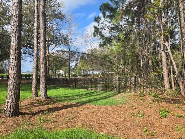 405 LONG AND WINDING ROAD, Howey In The Hills, FL 34737