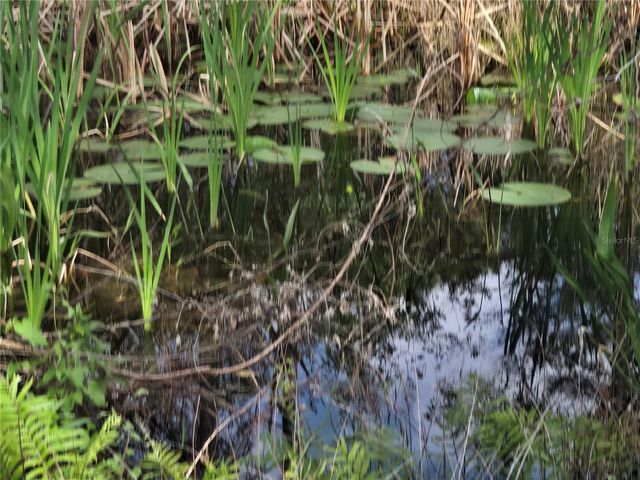 405 LONG AND WINDING ROAD, Howey In The Hills, FL 34737