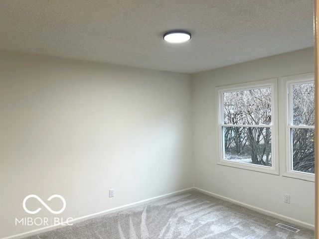 10712 Downing Street, Carmel, IN 46033