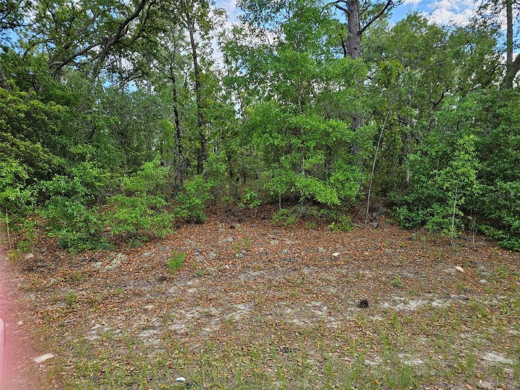 9440 N OLD MILL WAY, Dunnellon, FL 34434