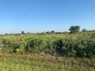 19142 NW 264th Street, Okeechobee, FL 34972