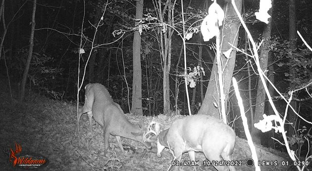 0 AA Hwy, Vanceburg, KY 41179