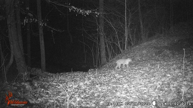 0 AA Hwy, Vanceburg, KY 41179