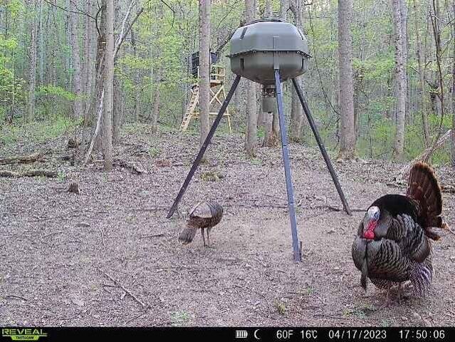 0 AA Hwy, Vanceburg, KY 41179