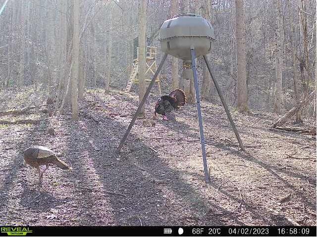 0 AA Hwy, Vanceburg, KY 41179