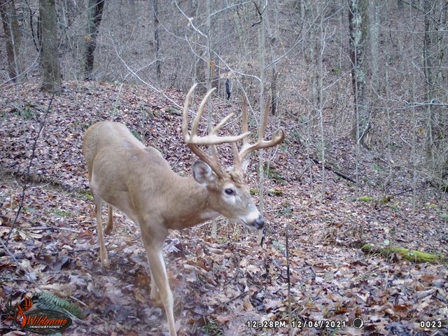 0 AA Hwy, Vanceburg, KY 41179