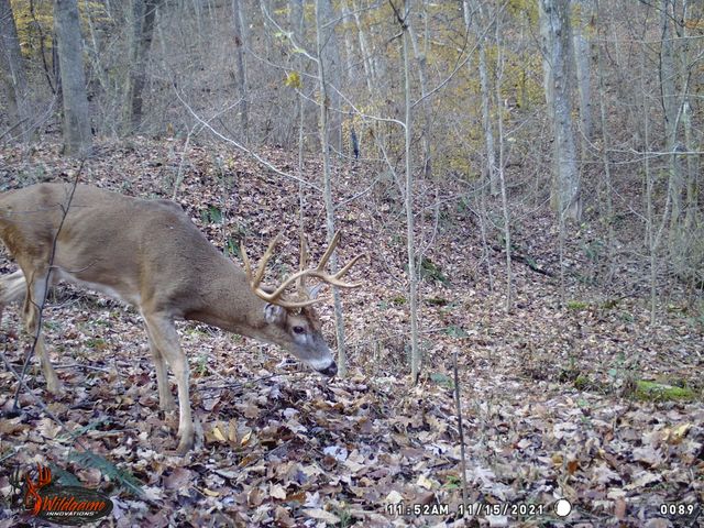 0 AA Hwy, Vanceburg, KY 41179