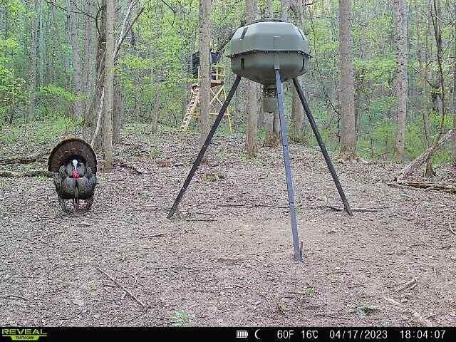 0 AA Hwy, Vanceburg, KY 41179