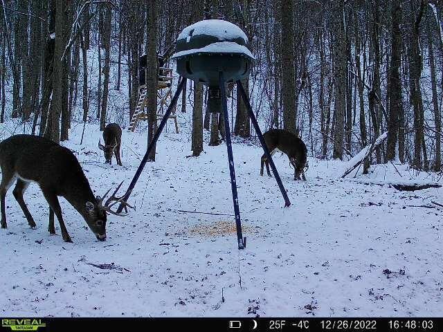 0 AA Hwy, Vanceburg, KY 41179