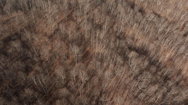 0 AA Hwy, Vanceburg, KY 41179