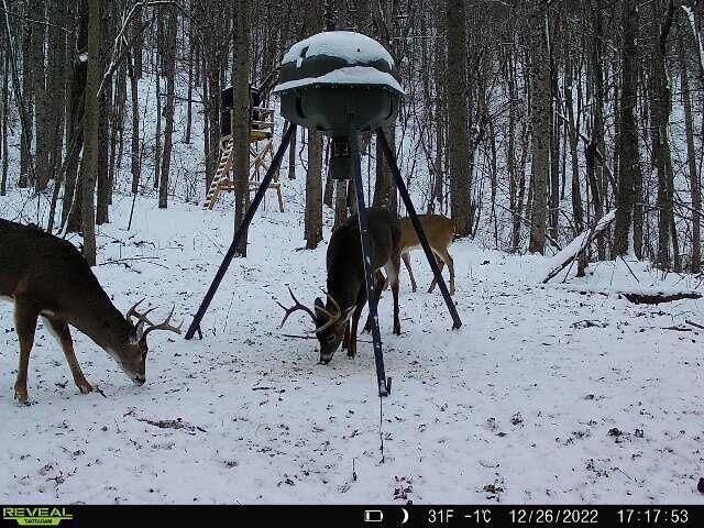 0 AA Hwy, Vanceburg, KY 41179