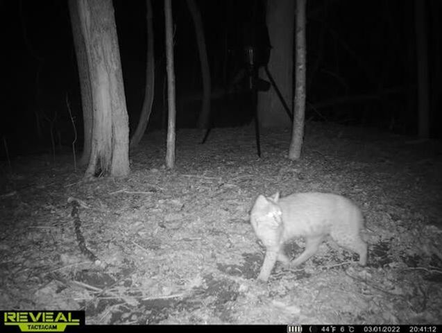 0 AA Hwy, Vanceburg, KY 41179