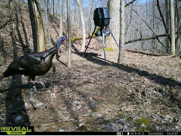 0 AA Hwy, Vanceburg, KY 41179