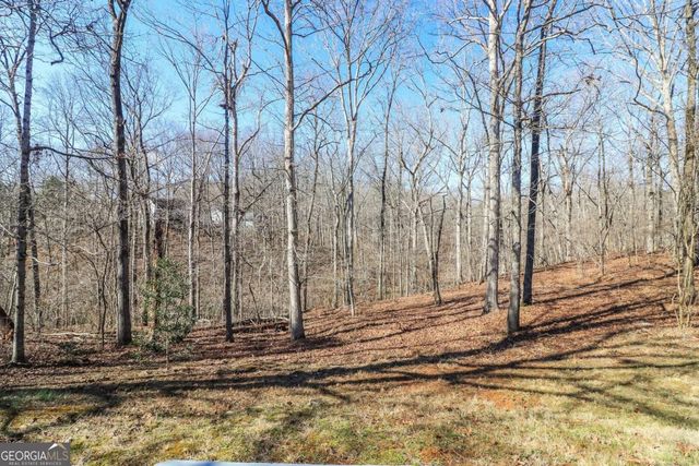 6793 Creeks Edge Court, Flowery Branch, GA 30542