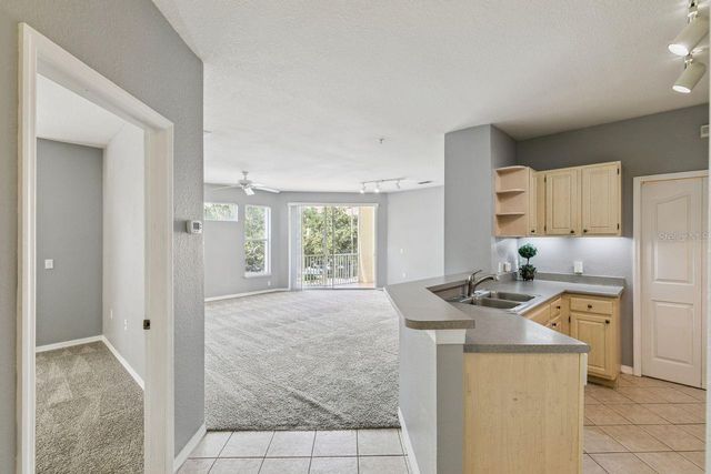 1440 LAKE SHADOW CIRCLE 8201, Maitland, FL 32751