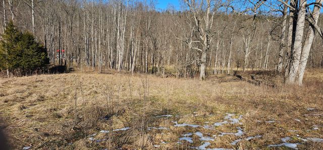 1011 Gilberts Creek Road, Lawrenceburg, KY 40342