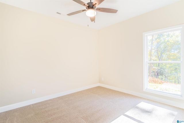 24 HOLLYS LANE, Riverside, AL 35135