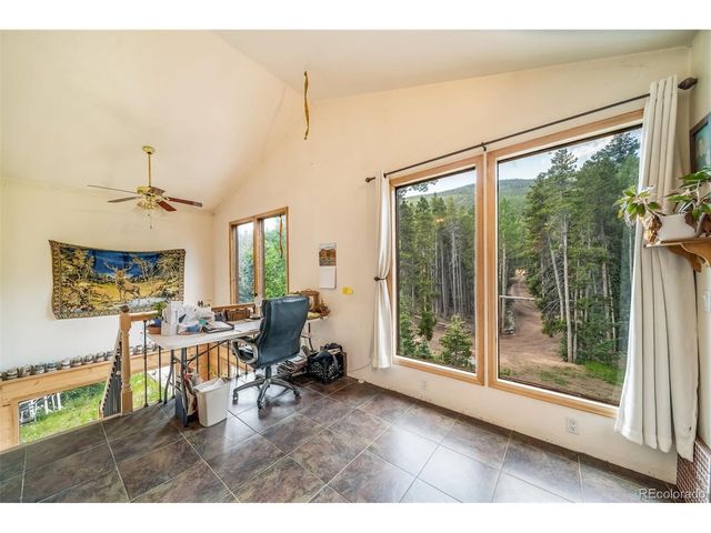 8774 Spring Dr, Conifer, CO 80433