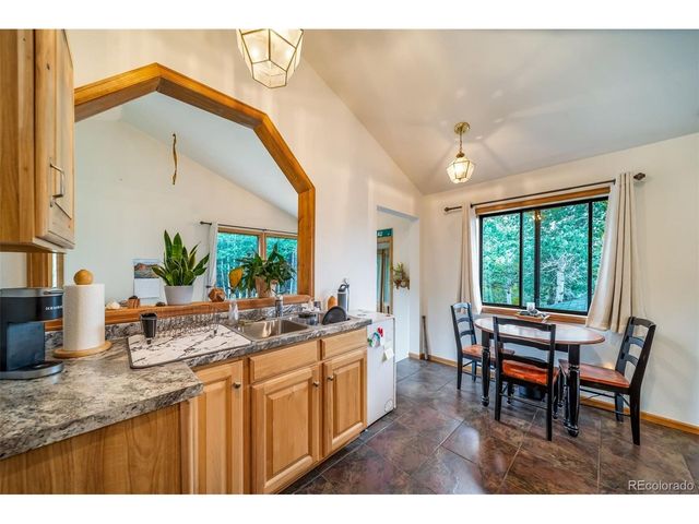 8774 Spring Dr, Conifer, CO 80433
