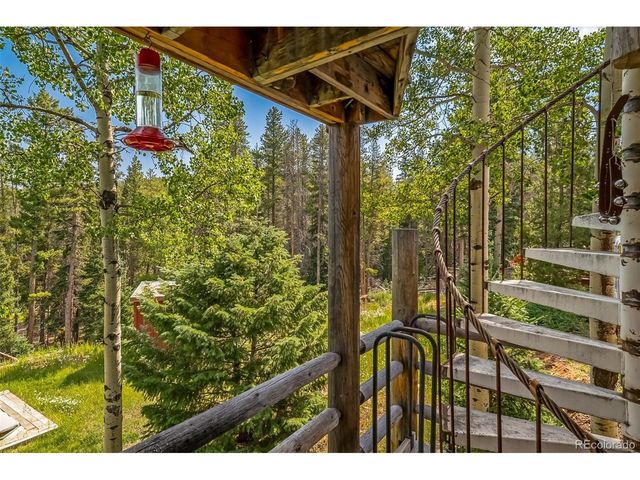8774 Spring Dr, Conifer, CO 80433