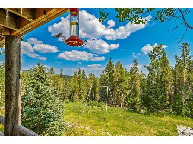 8774 Spring Dr, Conifer, CO 80433