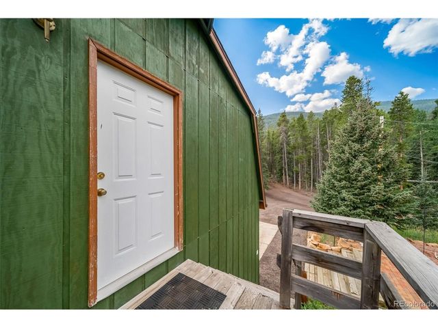 8774 Spring Dr, Conifer, CO 80433