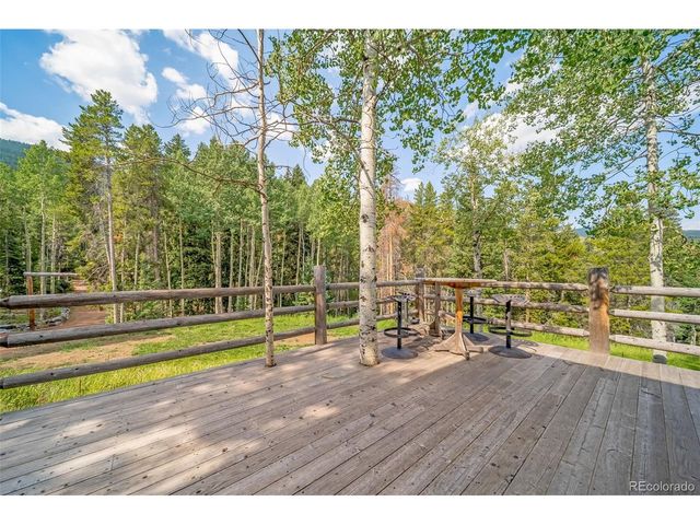 8774 Spring Dr, Conifer, CO 80433