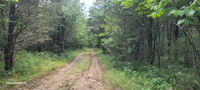 1 Clem Creek Rd, Chapel Hill, TN 37034