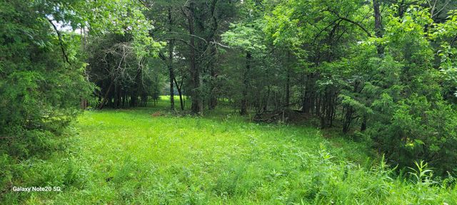 1 Clem Creek Rd, Chapel Hill, TN 37034