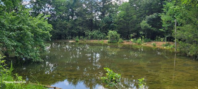 1 Clem Creek Rd, Chapel Hill, TN 37034