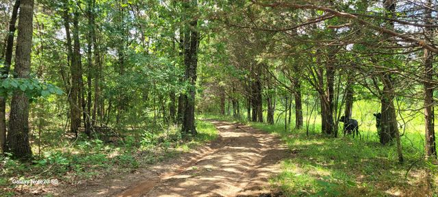 1 Clem Creek Rd, Chapel Hill, TN 37034