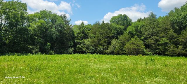1 Clem Creek Rd, Chapel Hill, TN 37034