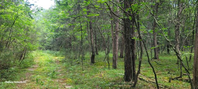 1 Clem Creek Rd, Chapel Hill, TN 37034