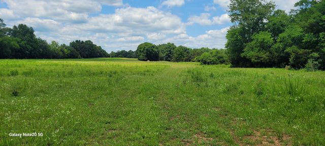 1 Clem Creek Rd, Chapel Hill, TN 37034