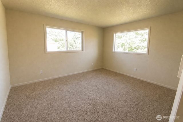 10600 Vista View Drive, Sedro Woolley, WA 98284