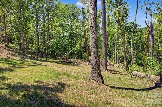 5 Kent Place, Asheville, NC 28804